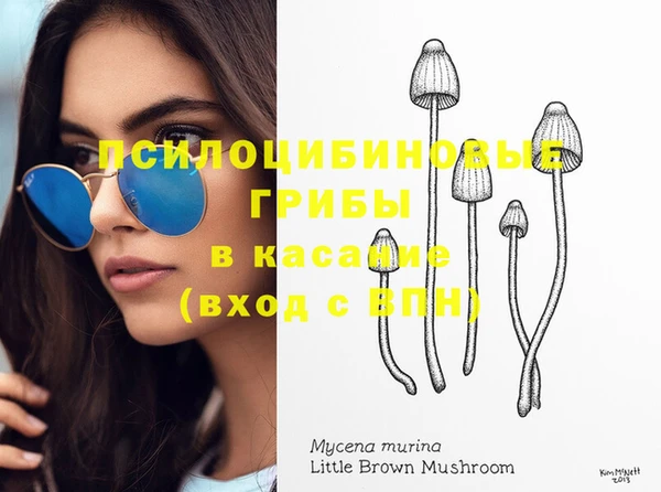 гидра Кострома