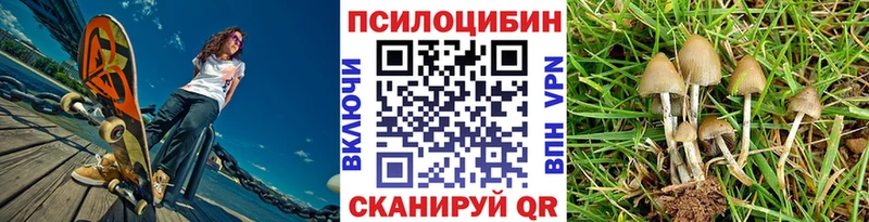 Галлюциногенные грибы Cubensis Купить закладки Котельниково